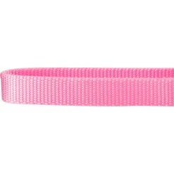 Frisco Solid Nylon Slip-On Martingale Dog Collar -Frisco 139181 PT3. AC SS1800 V1620069443