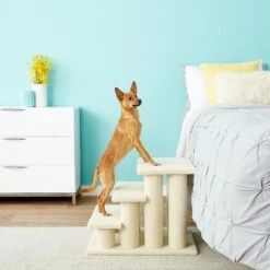 Frisco 18.5 Or 24.5 Inch 2-in-1 Cat & Dog Stairs 15 Frisco 18.5 Or 24.5 Inch 2-in-1 Cat & Dog Stairs -Frisco 140154 PT6. AC SS1800 V1584453442