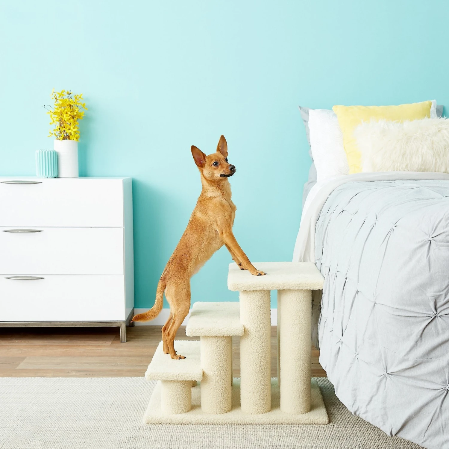 Frisco 18.5 Or 24.5 Inch 2-in-1 Cat & Dog Stairs 9 Frisco 18.5 Or 24.5 Inch 2-in-1 Cat & Dog Stairs - Image 7