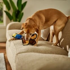 Frisco Duck Flat Plush Squeaky Dog Toy -Frisco 147069 PT3. AC SS1800 V1674158058