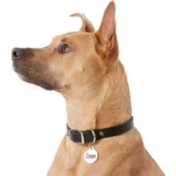 Frisco Personalized Dog & Cat Tag, Round -Frisco 153015 PT5. AC SS1800 V1540562586