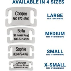 Frisco Stainless Steel Slide-On Personalized Dog & Cat Tag, Open Design -Frisco 153050 PT3. AC SS1800 V1644013293