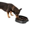 Frisco Non-Skid Slow Feeder Dog & Small Pet Bowl 1 Frisco Non-Skid Slow Feeder Dog & Small Pet Bowl -Frisco 155648 MAIN. AC SS1800 V1578432852