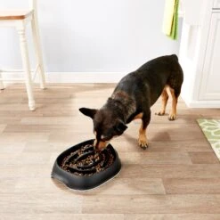 Frisco Non-Skid Slow Feeder Dog & Small Pet Bowl 12 Frisco Non-Skid Slow Feeder Dog & Small Pet Bowl -Frisco 155648 PT4. AC SS1800 V1553538724