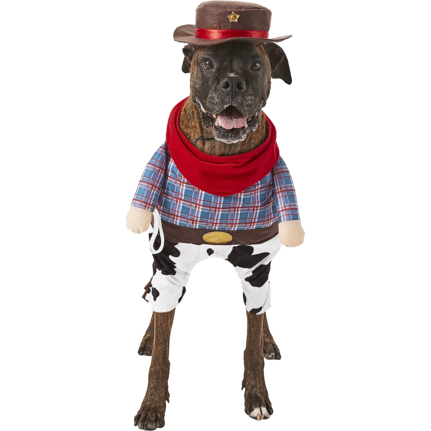 Frisco Front Walking Cowboy Dog & Cat Costume 3 Frisco Front Walking Cowboy Dog & Cat Costume
