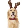 Frisco Holiday Antler Headband & Bell Collar Dog & Cat Costume 1 Frisco Holiday Antler Headband & Bell Collar Dog & Cat Costume -Frisco 160658 Main. AC SS1800 V1568818034