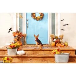 Frisco Vampire Cape Dog & Cat Costume 10 Frisco Vampire Cape Dog & Cat Costume -Frisco 160793 PT3. AC SS1800 V1567176564