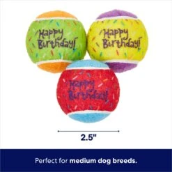 Frisco Birthday Fetch Squeaky Tennis Ball Dog Toy -Frisco 162914 PT1. AC SS1800 V1692020077