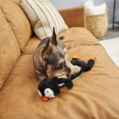 Frisco Penguin Skinny Plush Squeaky Dog Toy -Frisco 174707 PT2. AC SS1800 V1573492672