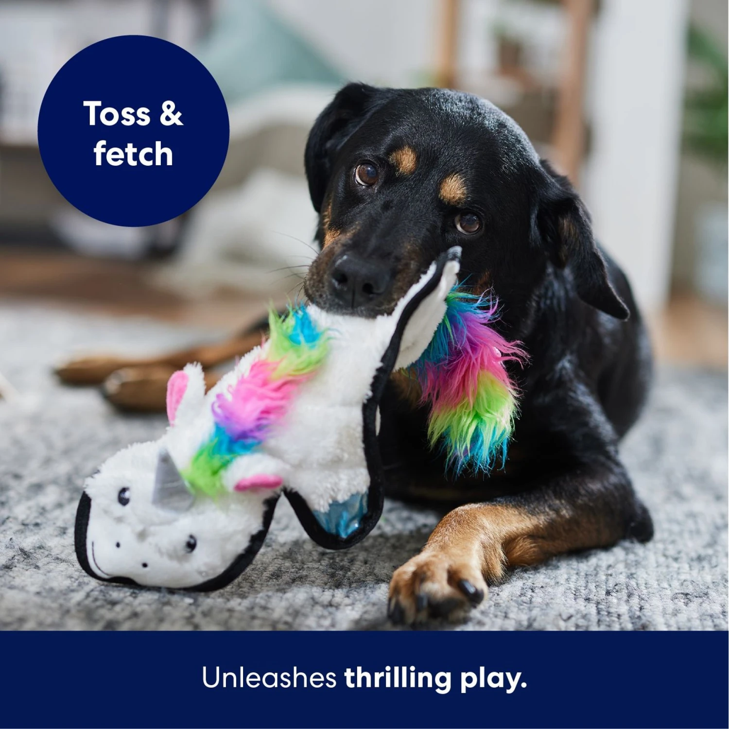Frisco Unicorn Stuffing-Free Flat Plush Squeaky Dog Toy 7 Frisco Unicorn Stuffing-Free Flat Plush Squeaky Dog Toy - Image 5