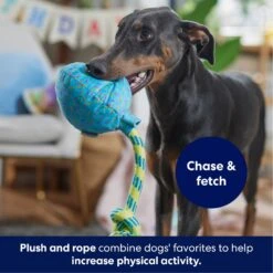 Frisco Birthday Balloon Plush With Rope Squeaky Dog Toy -Frisco 177807 PT3. AC SS1800 V1695241973