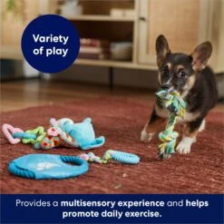 Frisco Little Friends Plush, Flyer & TPR Variety Pack Dog Toy -Frisco 177816 PT5. AC SS1800 V1691783909