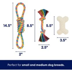 Frisco Jungle Pals Plush & Rope Variety Pack Dog Toy -Frisco 177819 PT2. AC SS1800 V1686579629