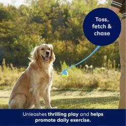 Frisco Ball Launcher & Fetch Squeaky Tennis Ball Dog Toy -Frisco 178477 PT3. AC SS1800 V1695241970