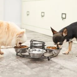 Frisco Multi Pet Feeding 4-Bowls Stainless Steel Dog & Cat Bowls, 0.5 Cup 16 Frisco Multi Pet Feeding 4-Bowls Stainless Steel Dog & Cat Bowls, 0.5 Cup -Frisco 213787 PT7. AC SS1800 V1599090064