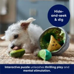 Frisco Guacamole Hide & Seek Puzzle Plush Squeaky Dog Toy 14 Frisco Guacamole Hide & Seek Puzzle Plush Squeaky Dog Toy -Frisco 213830 PT5. AC SS1800 V1695748356