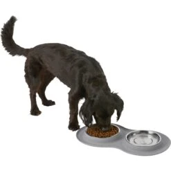 Frisco Double Stainless Steel Pet Bowl With Silicone Mat -Frisco 215986 PT5. AC SS1800 V1605652436