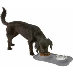 Frisco Silicone Stainless Steel Double Diner Dog & Cat Bowl -Frisco 215990 PT5. AC SS1800 V1605662218