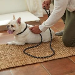 Frisco Reflective Rope Dog Leash -Frisco 221214 PT4. AC SS1800 V1602862582