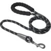 Frisco Rope Dog Leash With Padded Handle -Frisco 221218 MAIN. AC SS1800 V1701796765