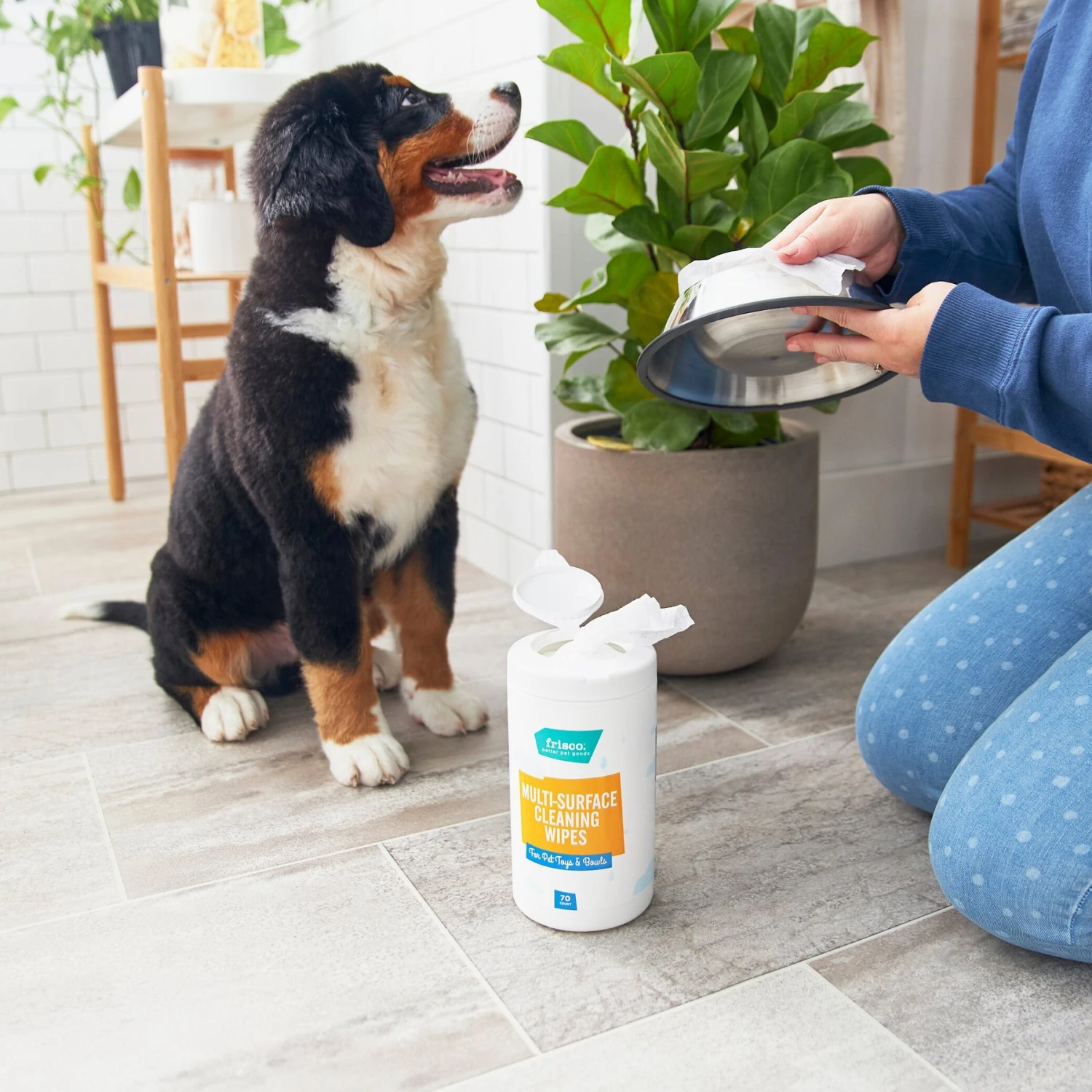 Frisco Pet Toy & Bowl Cleaning Wipes, 70 Count 4 Frisco Pet Toy & Bowl Cleaning Wipes, 70 Count - Image 2