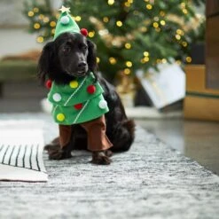 Frisco Front Walking Christmas Tree Dog & Cat Costume -Frisco 229164 PT7. AC SS1800 V1601385981