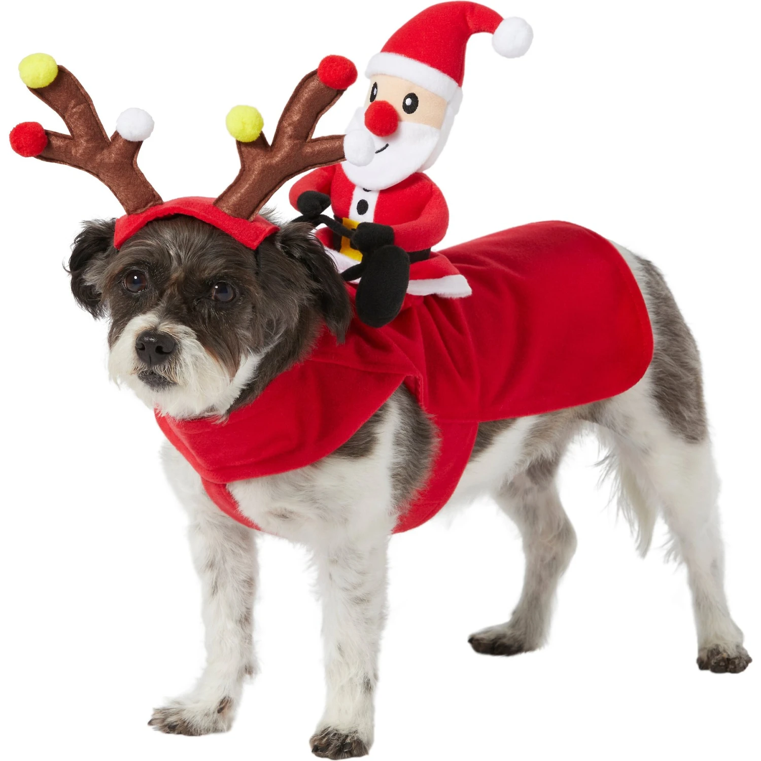 Frisco Santa Rider Dog & Cat Costume 3 Frisco Santa Rider Dog & Cat Costume