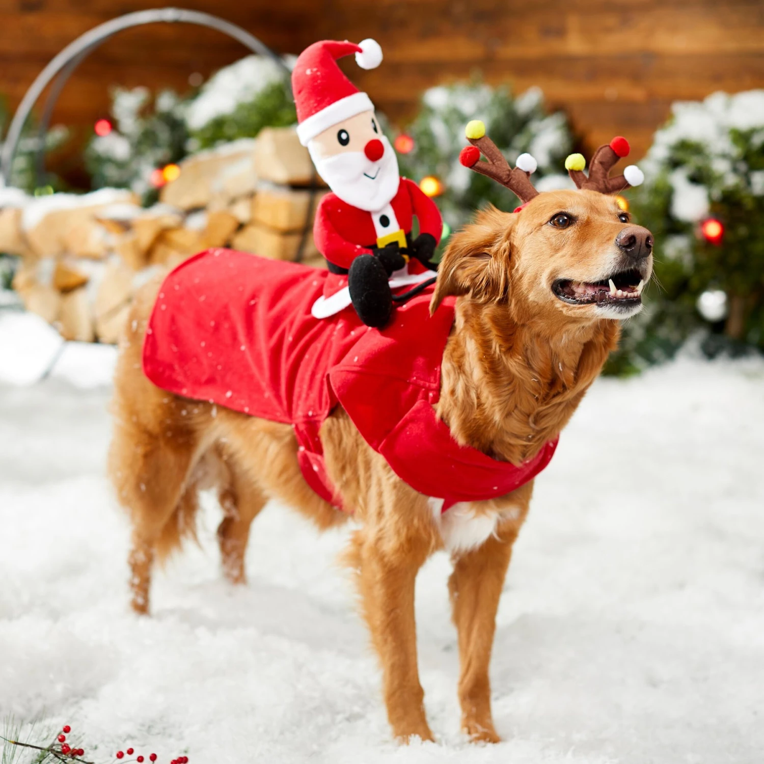 Frisco Santa Rider Dog & Cat Costume 8 Frisco Santa Rider Dog & Cat Costume - Image 6