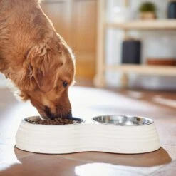 Frisco Stainless Steel Double Dog Bowls With Melamine Stand -Frisco 232092 PT7. AC SS1800 V1693015855