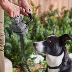 Frisco Large Size Dog Poop Bags With Fabric Dispenser -Frisco 237013 PT6. AC SS1800 V1610762789