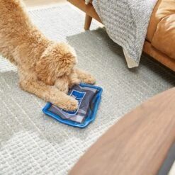 Frisco Zoomies & Chill TV Flat Plush Squeaky Dog Toy -Frisco 241685 PT6. AC SS1800 V1610768399