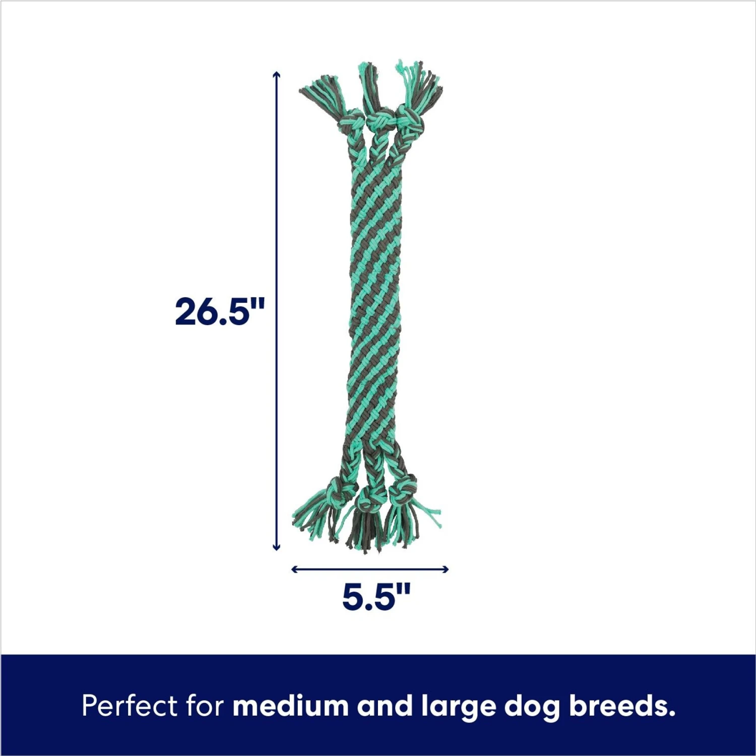 Frisco Flat Teal & Gray Braided Rope Squeaky Fetch Dog Toy 4 Frisco Flat Teal & Gray Braided Rope Squeaky Fetch Dog Toy - Image 2