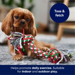 Frisco Double Knot Tri-Color Rope Fetch Dog Toy -Frisco 242149 PT3. AC SS1800 V1695241915