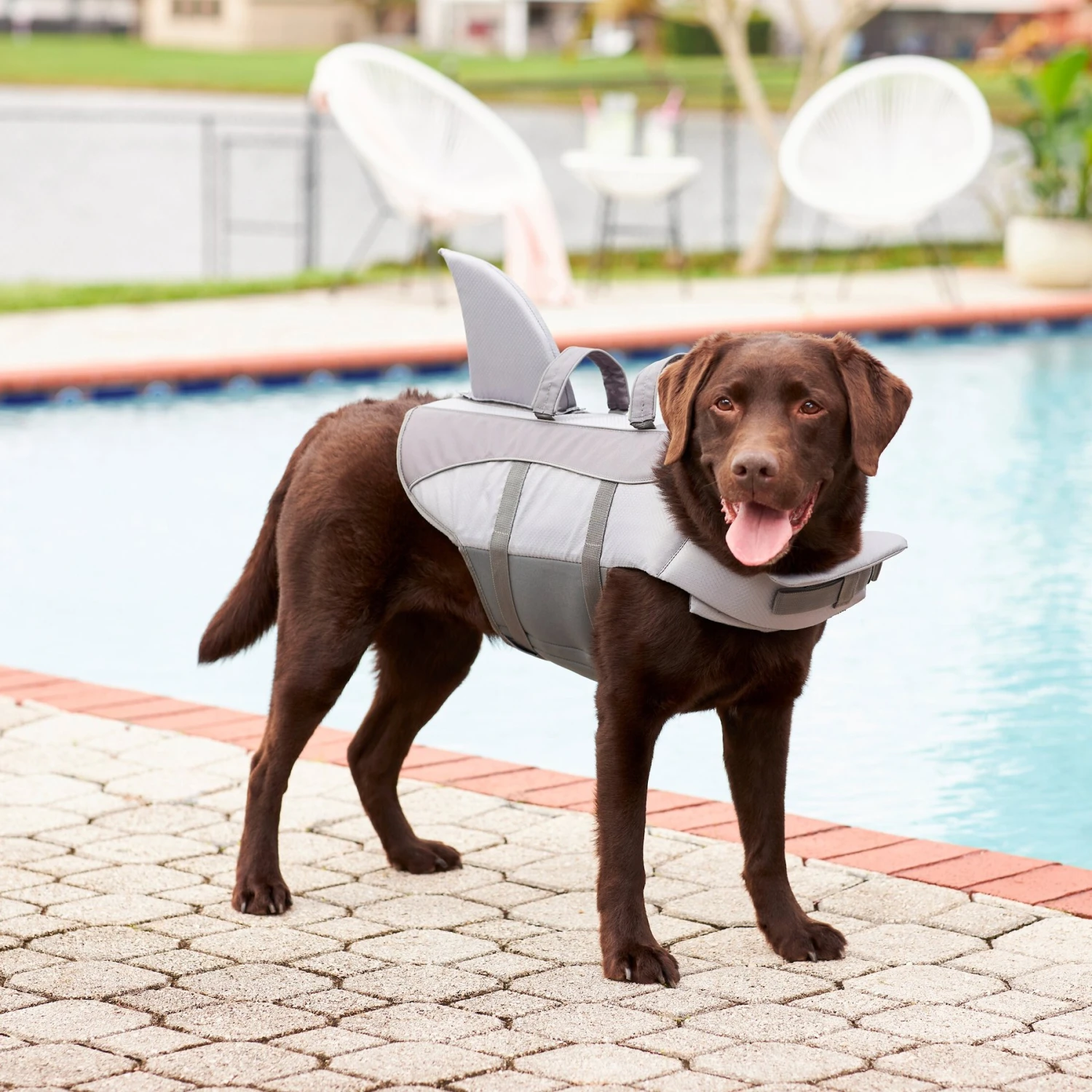 Frisco Shark Dog Life Jacket 10 Frisco Shark Dog Life Jacket - Image 8