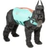 Frisco Active Dog Life Jacket -Frisco 247894 MAIN. AC SS1800 V1613407958