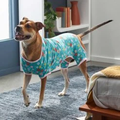 Frisco Teal Floral Dog & Cat Jersey PJs -Frisco 249132 PT5. AC SS1800 V1637725019