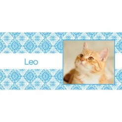 Frisco Double Walled Boho Damask Personalized Tumbler, 30-oz Cup -Frisco 250749 PT2. AC SS1800 V1606680445