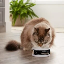 Frisco "Paws Off" Ceramic Personalized Dog & Cat Bowl -Frisco 250829 PT3. AC SS1800 V1610767170