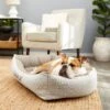 Frisco Rectangular Personalized Bolster Dog Bed W/Removable Cover, Beige, Medium 1 Frisco Rectangular Personalized Bolster Dog Bed W/Removable Cover, Beige, Medium -Frisco 252613 MAIN. AC SS1800 V1604499149