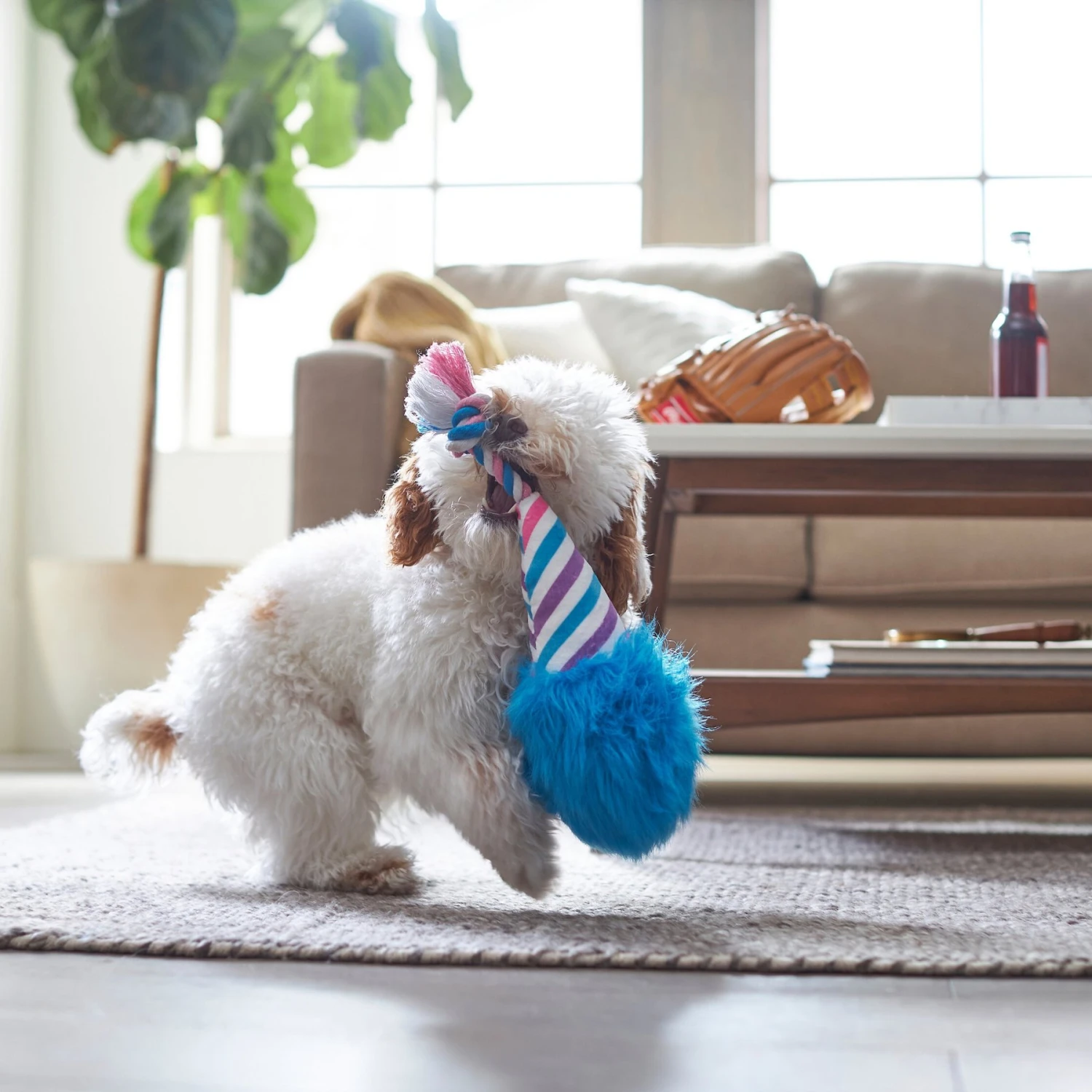 Frisco Baseball Cotton Candy Plush With Rope Squeaky Dog Toy 5 Frisco Baseball Cotton Candy Plush With Rope Squeaky Dog Toy - Image 3