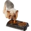 Frisco Copper Stainless Steel Double Dog & Cat Bowls With Black Marble Stand 1 Frisco Copper Stainless Steel Double Dog & Cat Bowls With Black Marble Stand -Frisco 253058 MAIN. AC SS1800 V1616075012