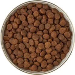 Frisco Gold Trim Melamine Dog & Cat Bowl -Frisco 253062 PT5. AC SS1800 V1616595396