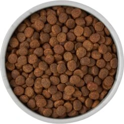 Frisco Marble Design Non-skid Ceramic Dog & Cat Bowl 15 Frisco Marble Design Non-skid Ceramic Dog & Cat Bowl -Frisco 256056 PT6. AC SS1800 V1615310860