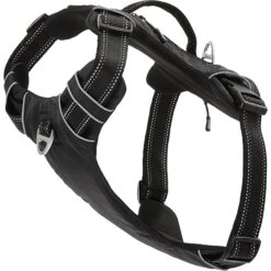 Frisco Outdoor Premium Ripstop Nylon Dog Harness With Pocket 10 Frisco Outdoor Premium Ripstop Nylon Dog Harness With Pocket -Frisco 256485 PT3. AC SS1800 V1625156290