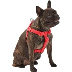 Frisco Outdoor Solid Textured Waterproof Stink Proof PVC Dog Harness -Frisco 256518 PT2. AC SS1800 V1625164704