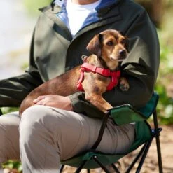 Frisco Outdoor Solid Textured Waterproof Stink Proof PVC Dog Harness -Frisco 256518 PT5. AC SS1800 V1625587387