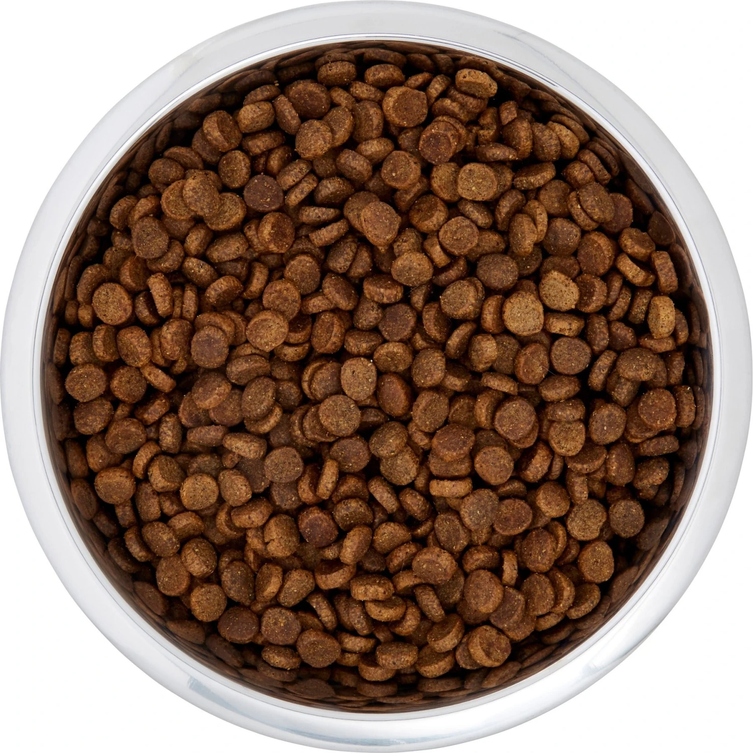 Frisco Black Iron Non-Skid Stainless Steel Dog & Cat Bowl 7 Frisco Black Iron Non-Skid Stainless Steel Dog & Cat Bowl - Image 5