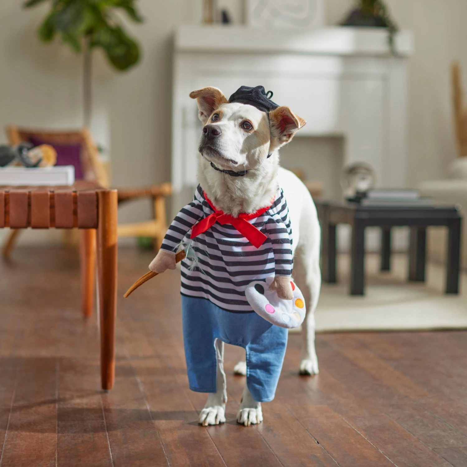 Frisco Front Walking French Artist Dog & Cat Costume 10 Frisco Front Walking French Artist Dog & Cat Costume - Image 8