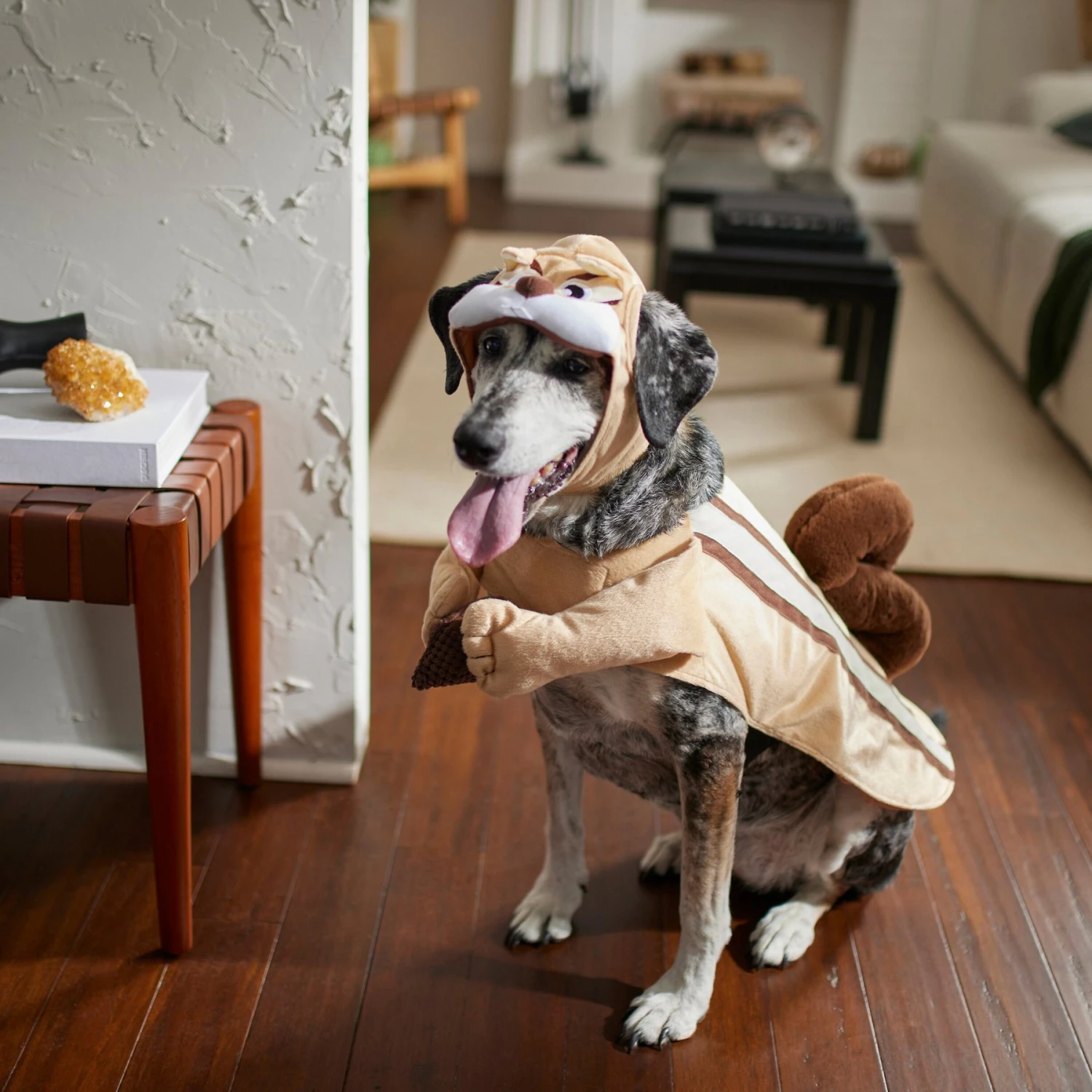 Frisco Chipmunk Dog & Cat Costume 9 Frisco Chipmunk Dog & Cat Costume - Image 7