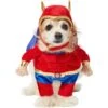 Frisco Front Walking Superhero Dog & Cat Costume